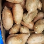 Sweet potatoes in a cardboard box.
