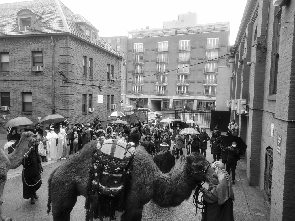 A crowd of people walking down the street with two large animals.